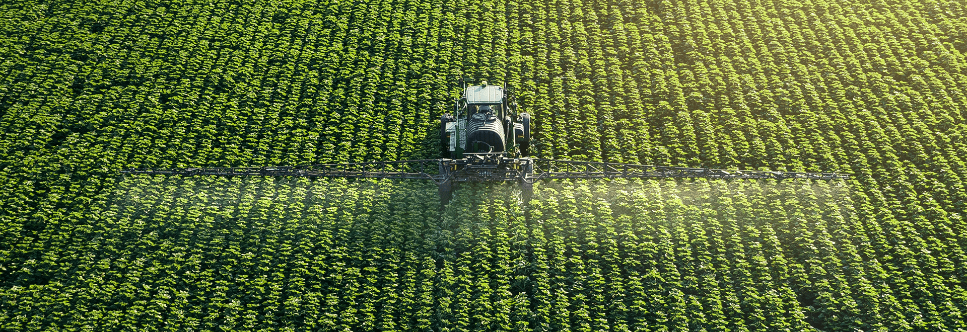 TÜV AUSTRIA: Neue Konformitätsbewertungslösungen gemäß EU-Verordnung 1009/2019 für sichere und wirksame Düngeprodukte (C) Shutterstock, Karlos West